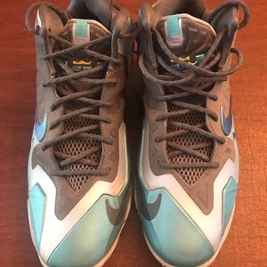 Nike high top Lebron James edition.